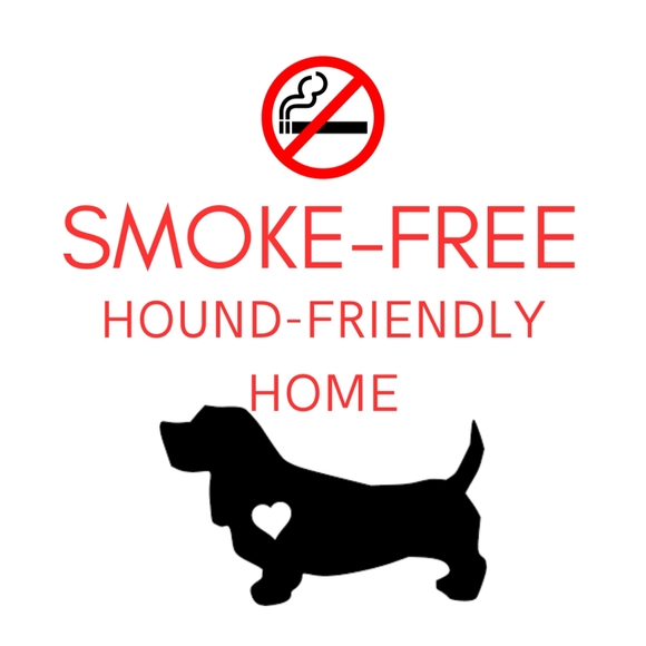 Moon and Back LS Tee by Hanna Andersson, 3-6M - Picture 6 of 7